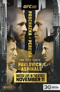 دانلود پی پر ویو UFC 295: Prochazka vs. Pereira