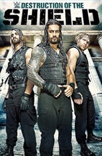 دانلود هوم ویدئو WWE Destruction of The Shield 2015